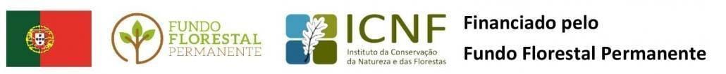 Fundo Florestal Pernamente