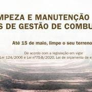 Artigo Site