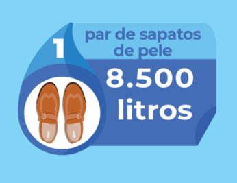 Sapatos