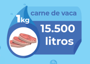 Carne De Vaca