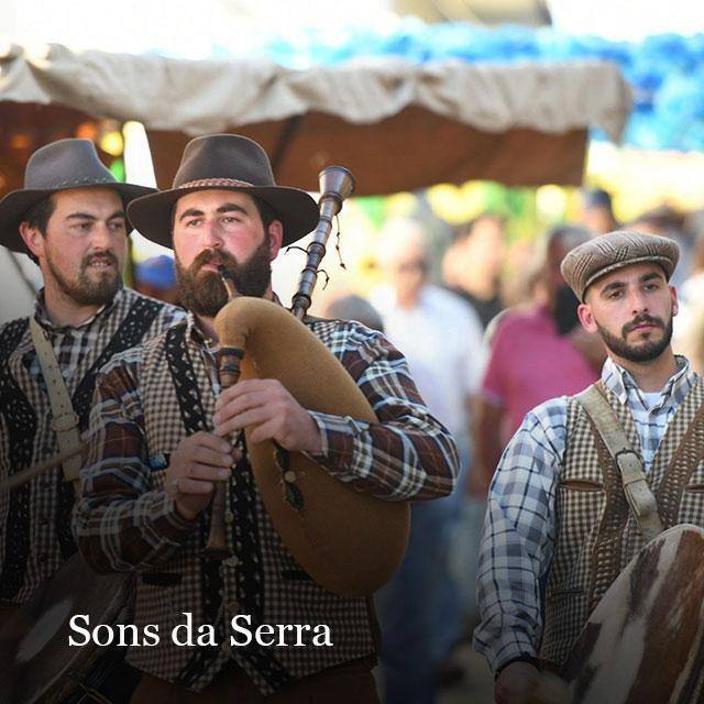 Bandas 04