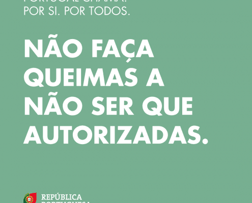 Pc11 — ampliar imagem