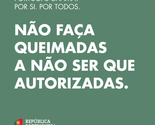 Pc12 — ampliar imagem