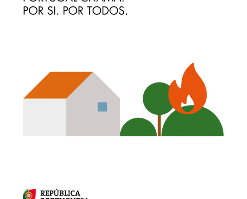 Pc18 — ampliar imagem