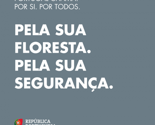 Pc22 — ampliar imagem