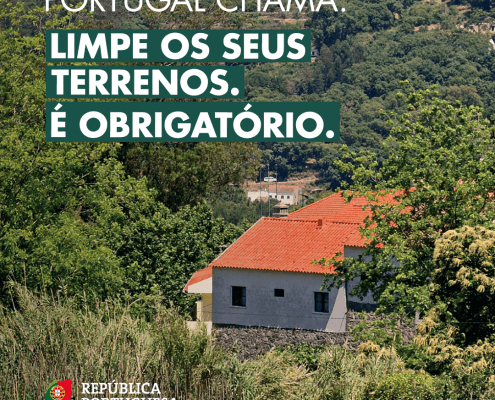 Pc31 — ampliar imagem
