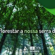 Reflorestar Noticia