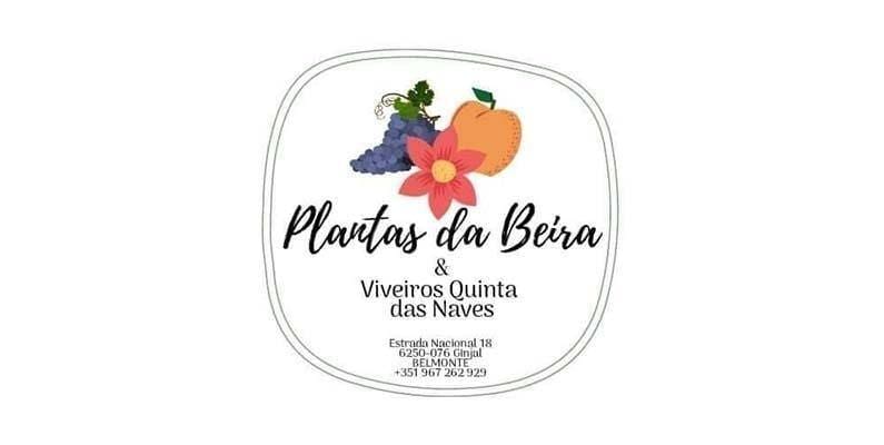 Plantas Da Beira