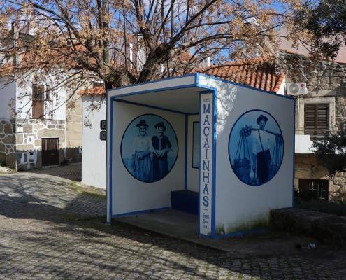 Img 7115 — ampliar imagem