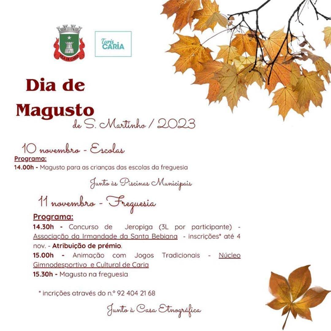 Magusto Junta De Caria Desktop — abre num novo separador