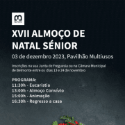 Artigo Site Municipal