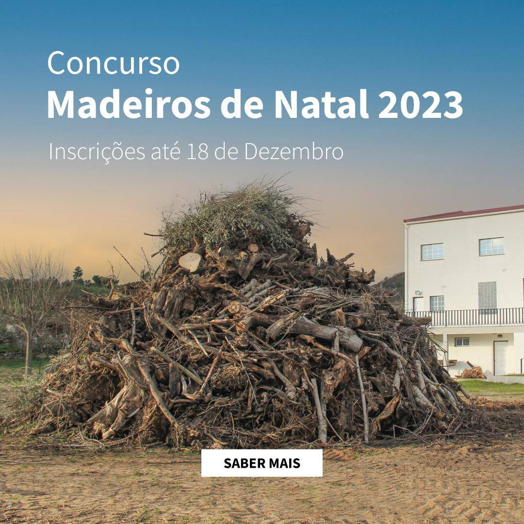 Concurso Madeiros De Natal 2023 Slider Mobile
