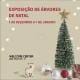 Exposição De Árvores De Natal