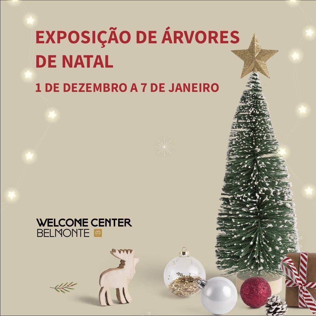 Exposição De Árvores De Natal — abre num novo separador
