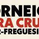 Torneio Vera Cruz 2024 Topo