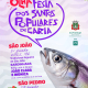 Festas Santos Populares Caria 2025