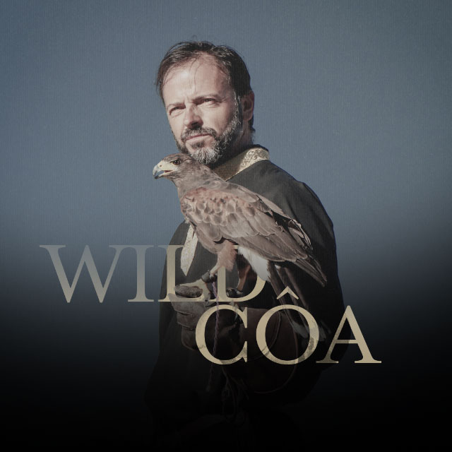 18 Wildcoa