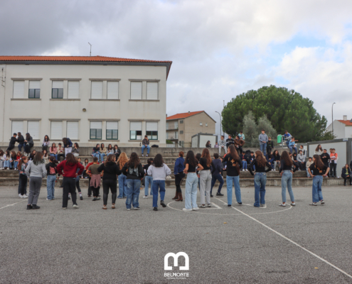 Img 9330 — ampliar imagem