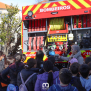 Img 7013