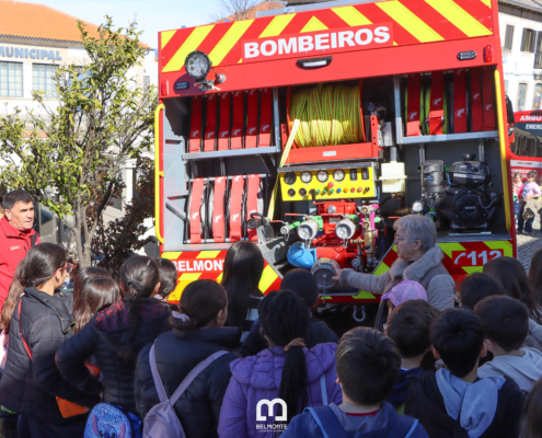 Img 7013 — ampliar imagem