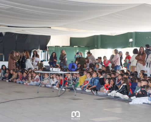 Img 7028 — ampliar imagem